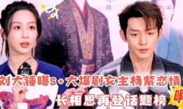 刘大锤最新爆料杨紫,刘大锤独家爆料，精彩瞬间引网友热议